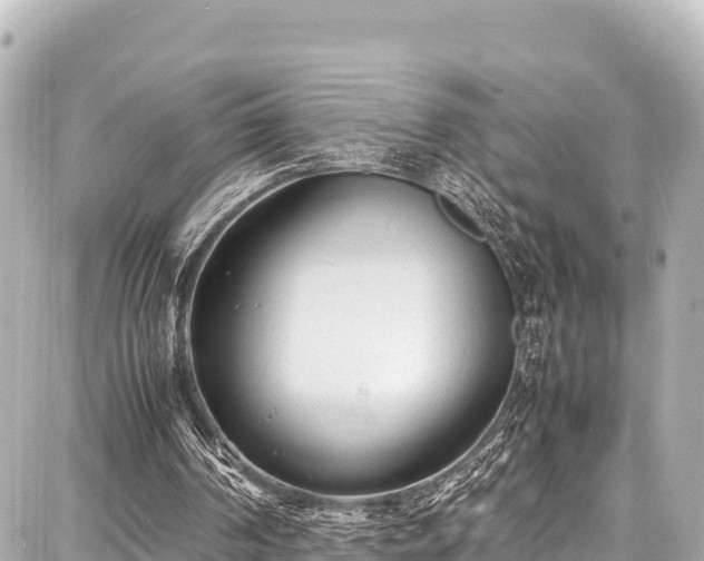 X0000087750194200705141258