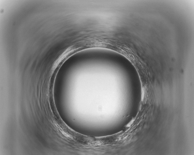 X0000087750195200705141258