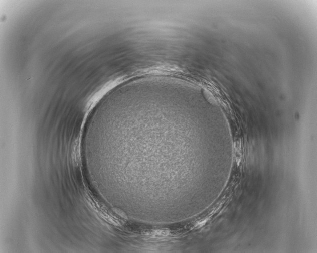 X0000087750196200705141258