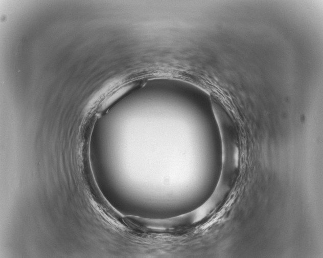 X0000087750197200705141258