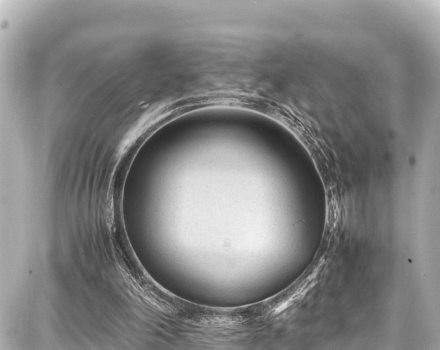 X0000087750198200705141258