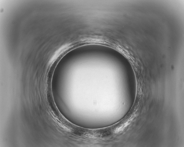 X0000087750199200705141258