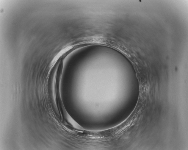 X0000087750200200705141258