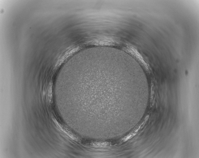 X0000087750202200705141258