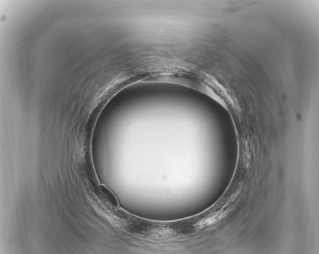 X0000087750203200705141258