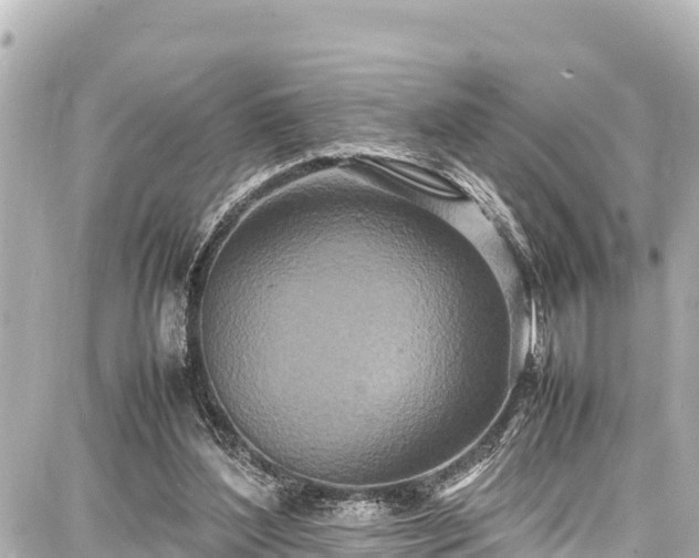 X0000087750204200705141258