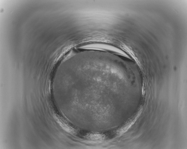 X0000087750205200705141258