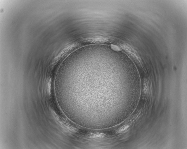 X0000087750206200705141258