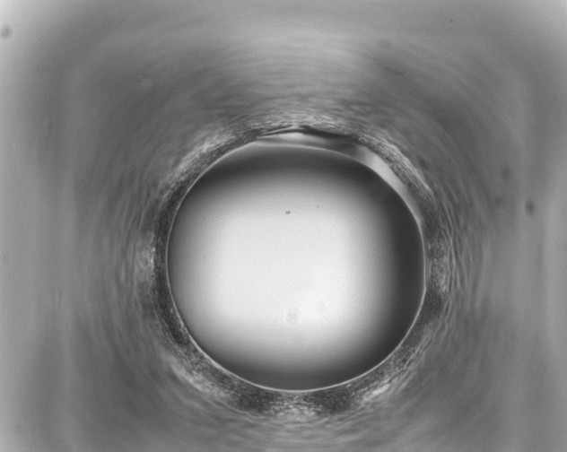 X0000087750207200705141258