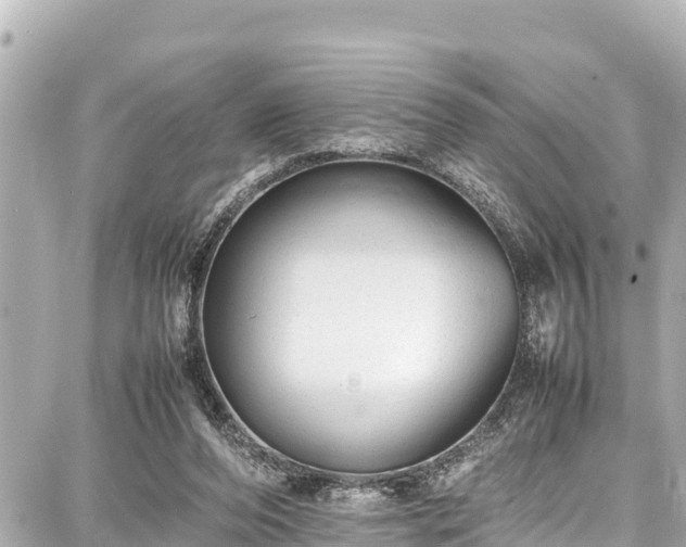 X0000087750208200705141258