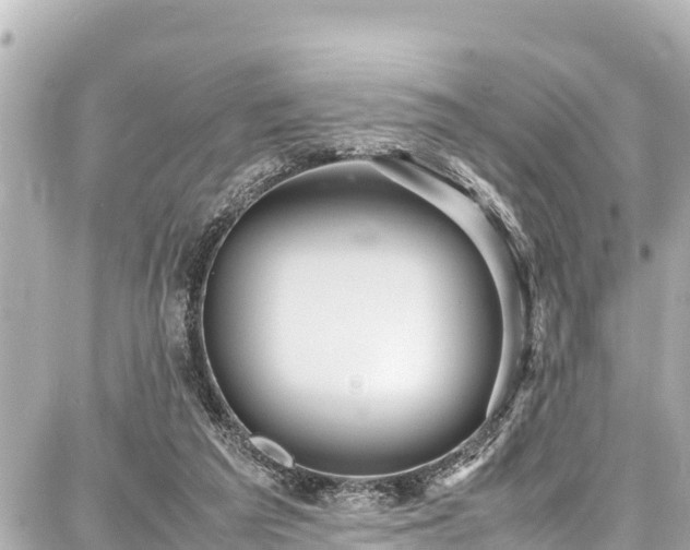 X0000087750209200705141258