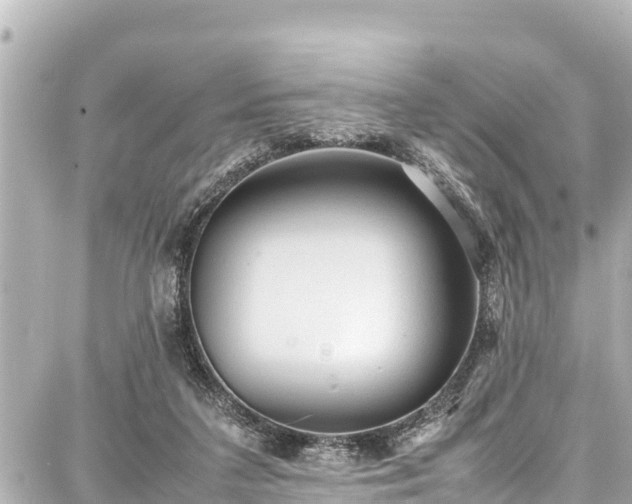 X0000087750211200705141258