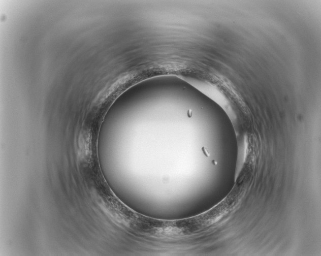 X0000087750212200705141258