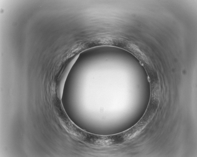 X0000087750213200705141258