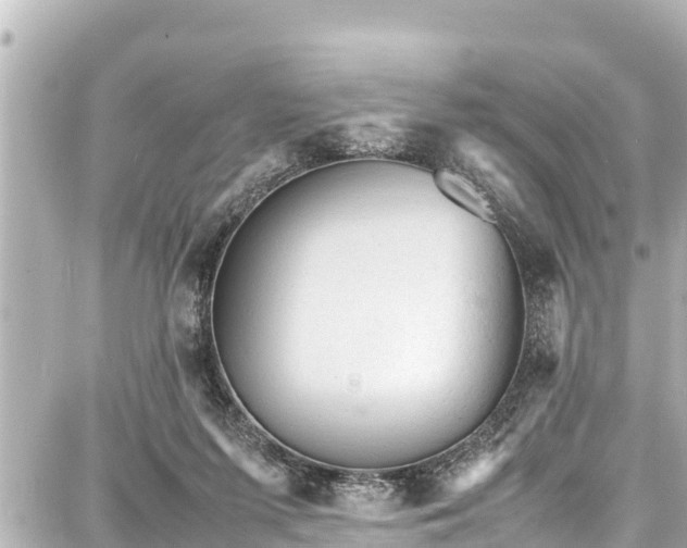 X0000087750215200705141258