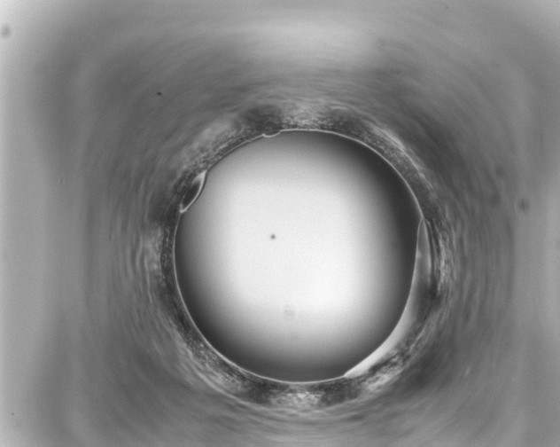 X0000087750217200705141258