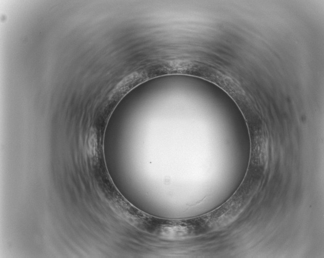 X0000087750220200705141258