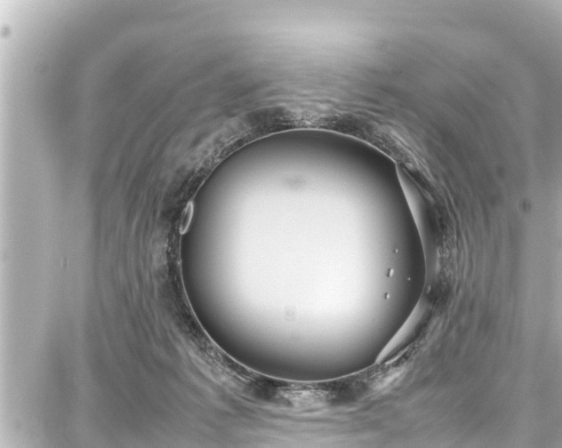 X0000087750221200705141258