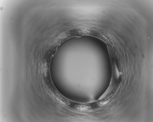 X0000087750223200705141258