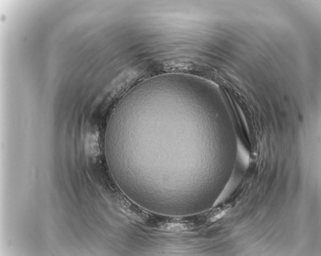 X0000087750224200705141258