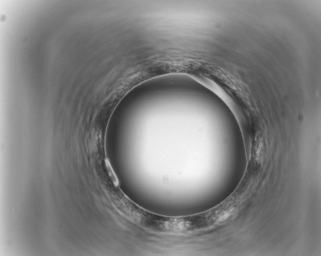 X0000087750225200705141258