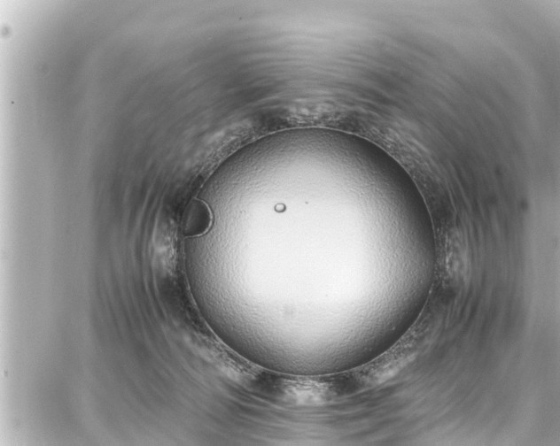 X0000087750226200705141258