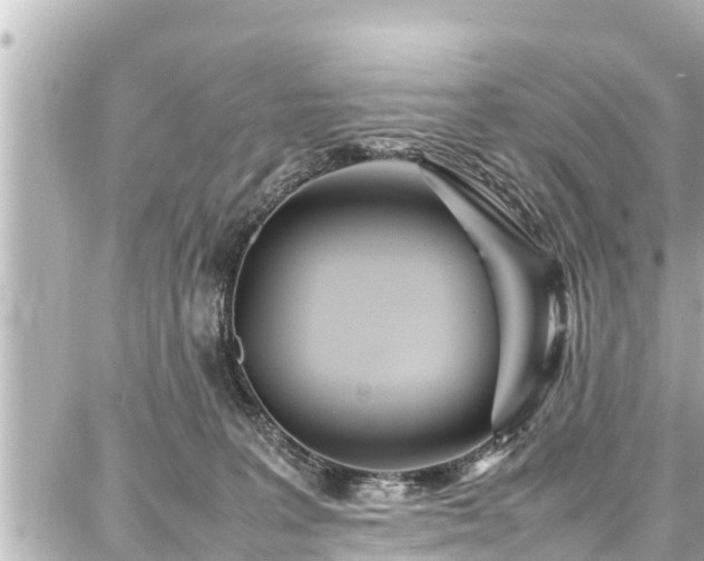 X0000087750227200705141258