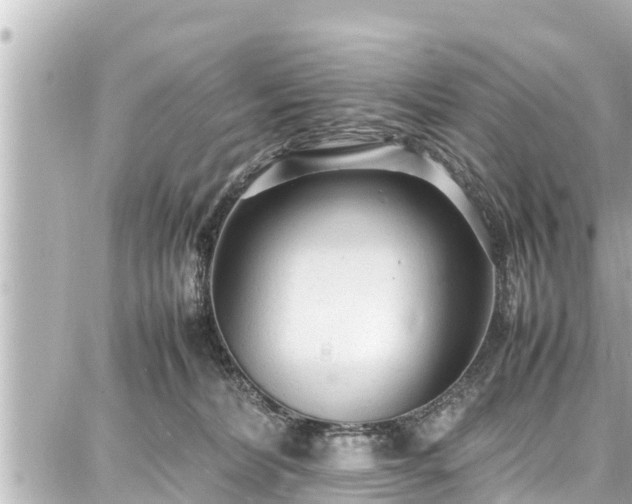 X0000087750228200705141258