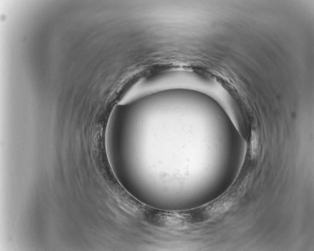 X0000087750229200705141258