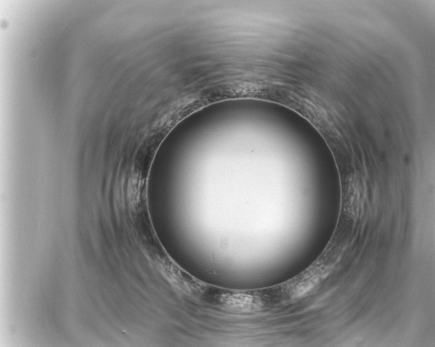 X0000087750230200705141258