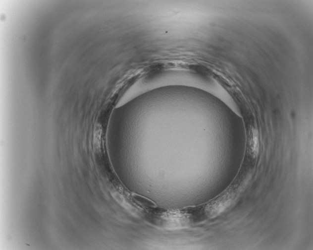 X0000087750231200705141258