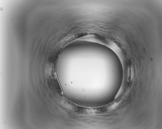 X0000087750233200705141258