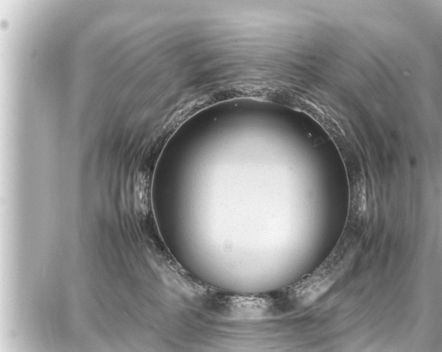 X0000087750234200705141258