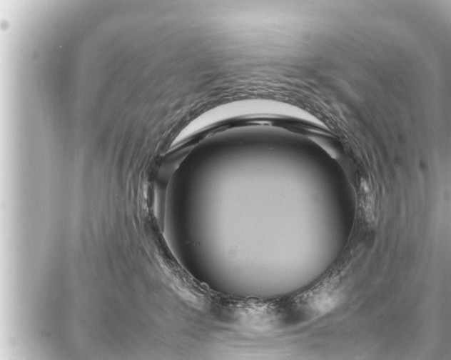 X0000087750235200705141258