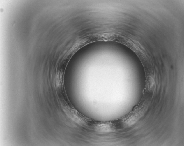 X0000087750236200705141258