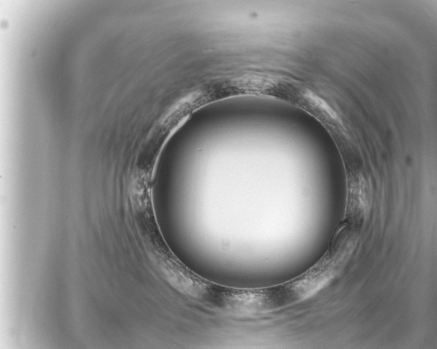 X0000087750237200705141258