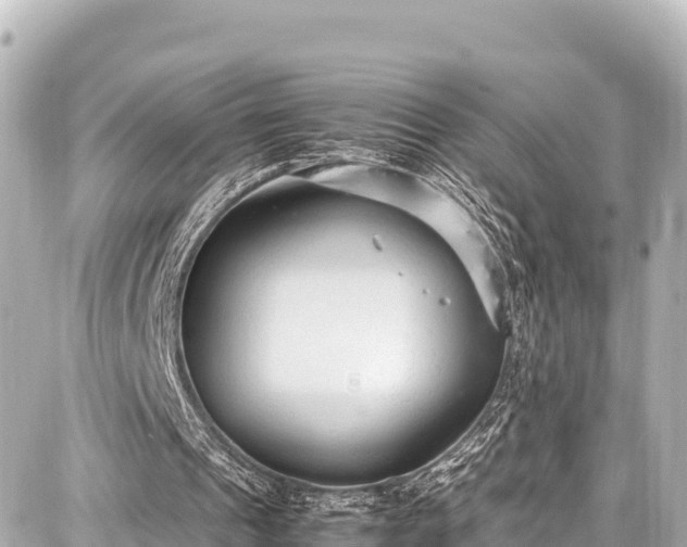 X0000087750241200705141257