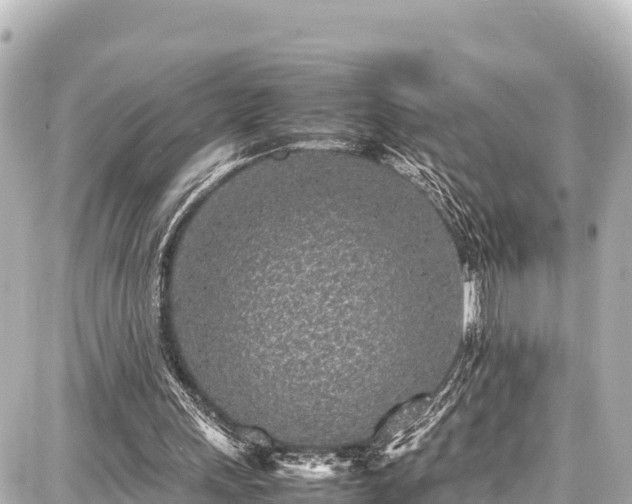 X0000087750243200705141257