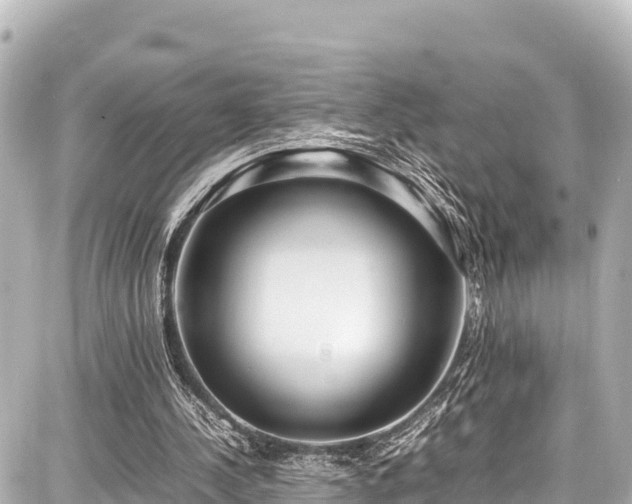X0000087750244200705141257