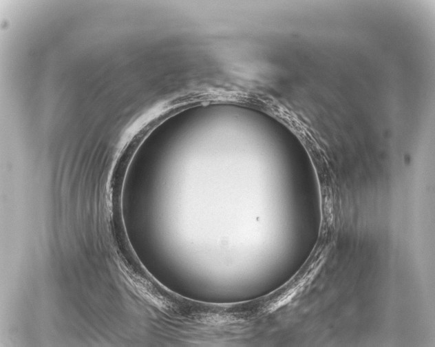 X0000087750246200705141257