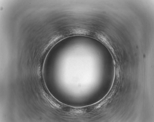 X0000087750249200705141257