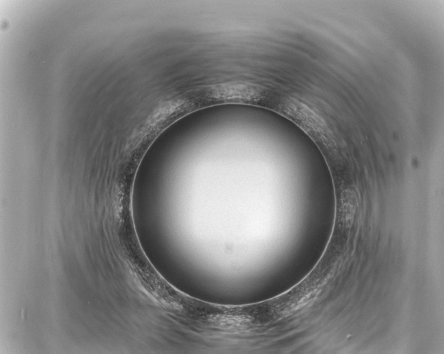 X0000087750255200705141257