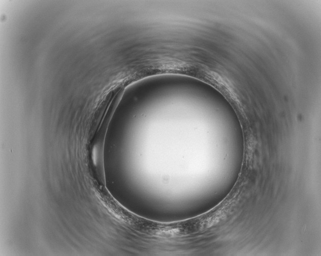 X0000087750257200705141257