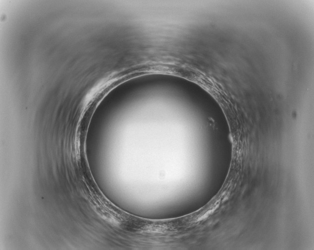 X0000087750294200705141257