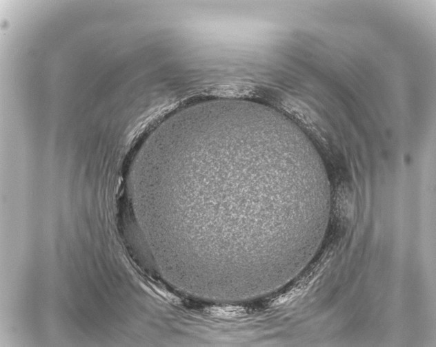 X0000087750303200705141256