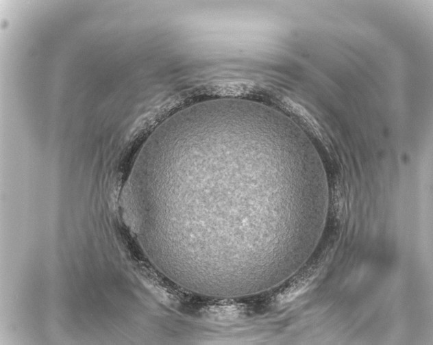 X0000087750307200705141256