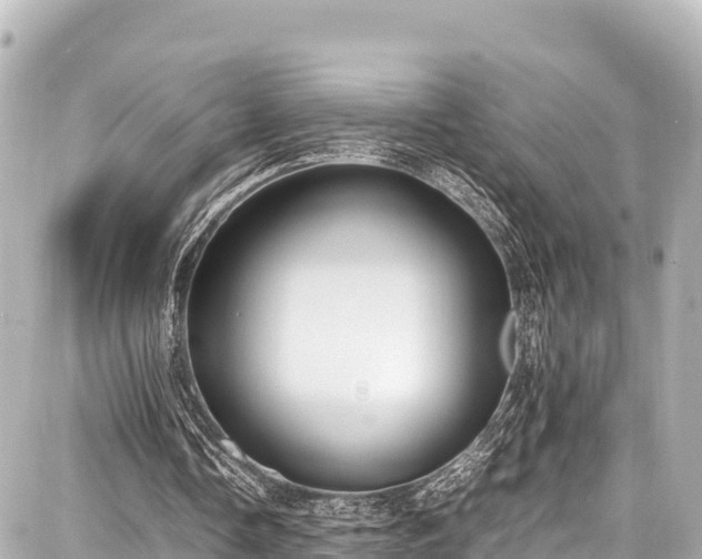 X0000087750338200705141255