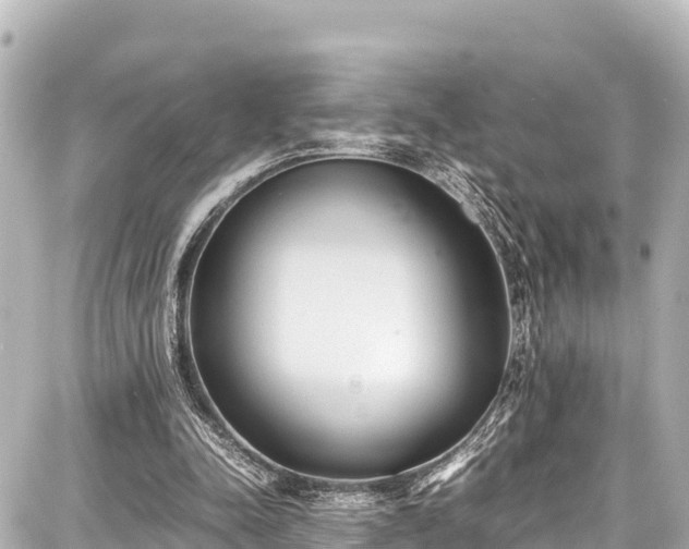 X0000087750342200705141255