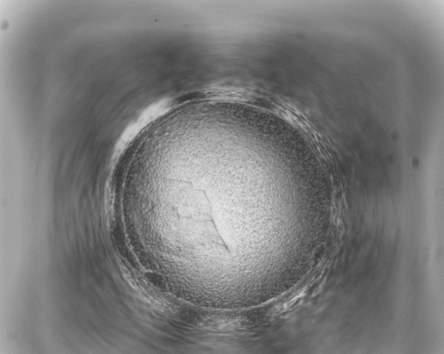 X0000087750343200705141255