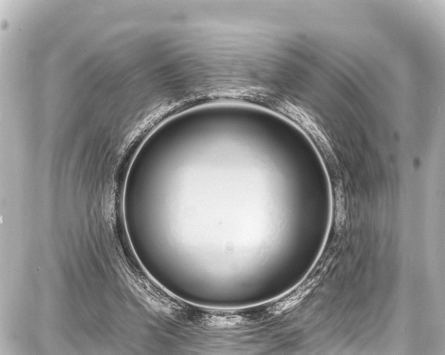 X0000087750346200705141255